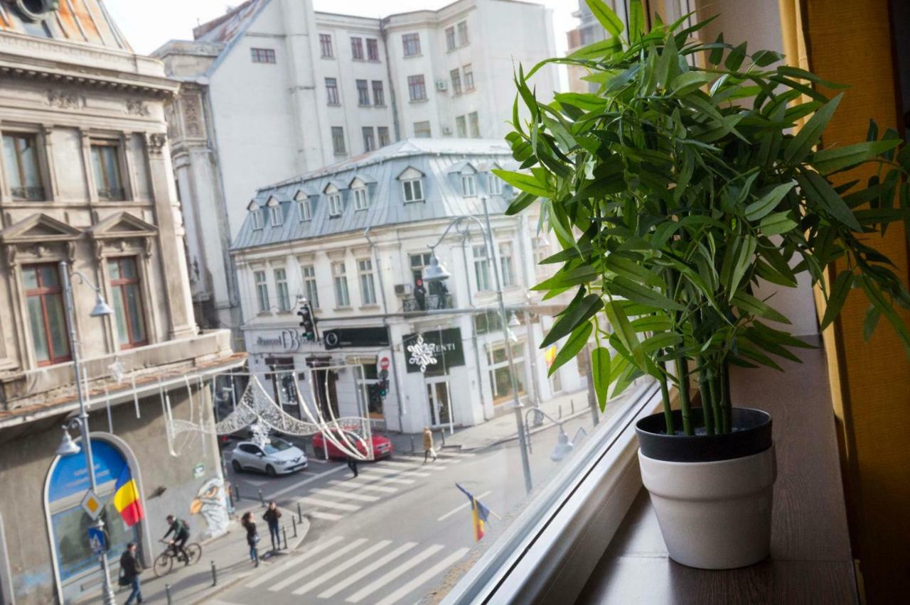 Ideal Apartment Bukarest Eksteriør billede